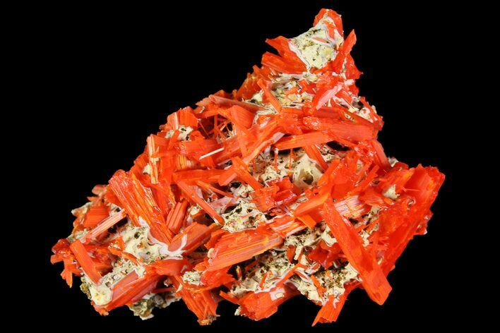 Bright Orange Crocoite Crystal Cluster - Tasmania #171691
